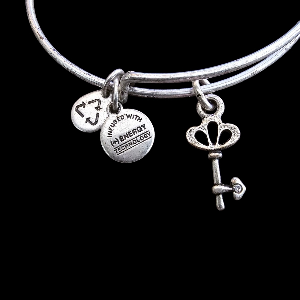 Alex and Ani Crystal Skeleton Key Charm Bangle in Silver-Tone Brass - Picture 2 of 6